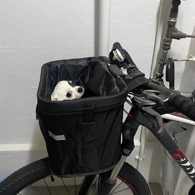 Panier velo chien securite et confort pour vos balades