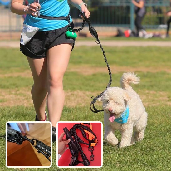 Laisse canicross | TrainePasLaPatte