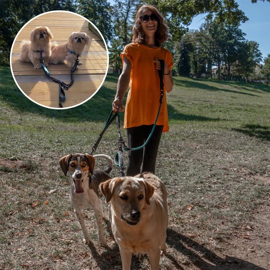 Double laisse pour chien | Ultra-Résistante