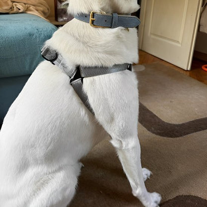 Harnais pour chien | Confort Sécurité