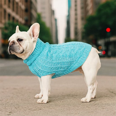 Pull pour chien coupe anatomique:
