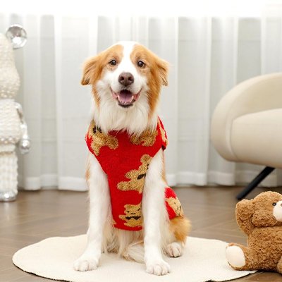 Pull pour Chien matière douce et pelucheuse: