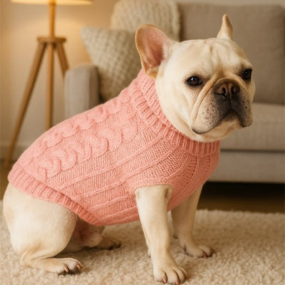 Pull pour chien ouverture ventrale dégagée