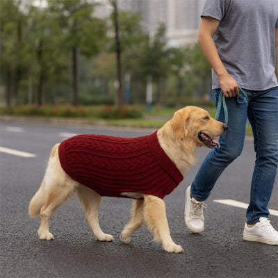 Pull pour chien plusieurs coloris disponibles: