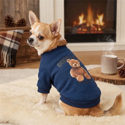 Pull pour chien tissu chaud adapté aux petits chiens 