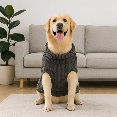 Pull pour chien tricot côtelé ou torsadé