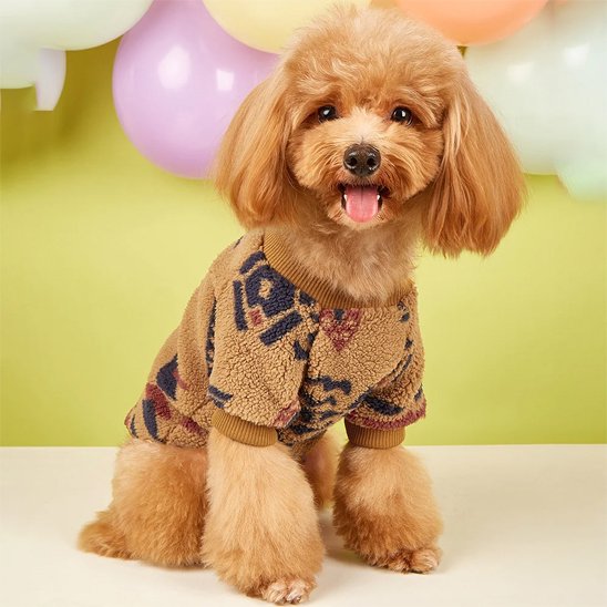Pull pour chien