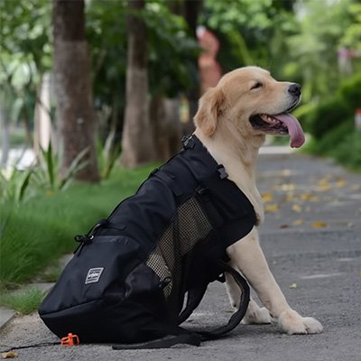 Sac à dos pour Chien peut être porté sur le dos comme un sac à dos classique