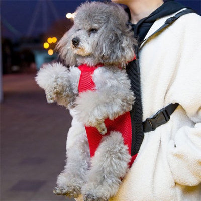 Sac de transport chien maintient fermement l'animal en position assise 