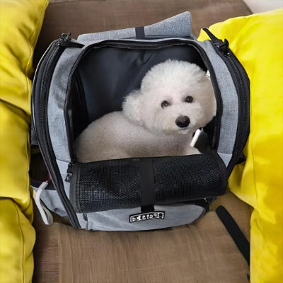 Sac de transport pour chien conception rigide structurée