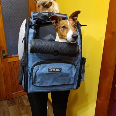 Sac de transport pour chien système de portage dorsal 