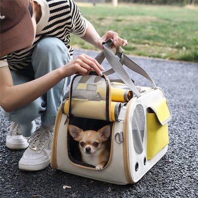 Sac de transport pour petit chien fenêtres panoramiques transparentes