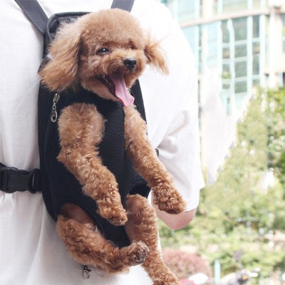 Sac de transport pour petit chien sangles ajustables