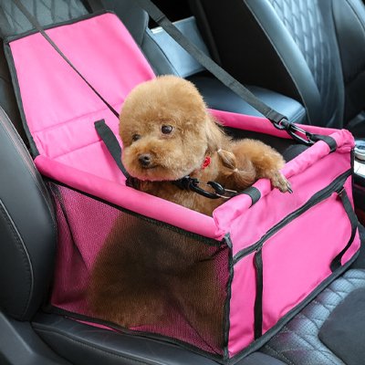 Siege auto chien parfait pour les animaux de compagnie de race moyenne