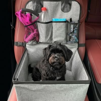 Siege auto pour chien compartiment spacieux: