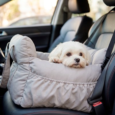 Siege auto pour chien coussin rembourré épais
