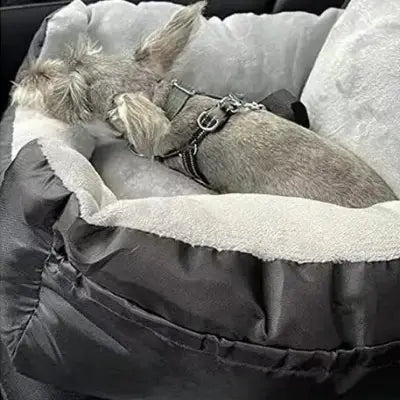 siege auto pour chien douillet et confort