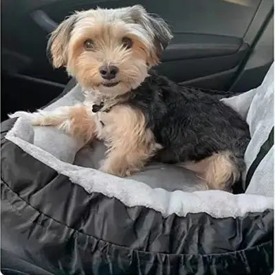 siege auto pour chien fiable et durable