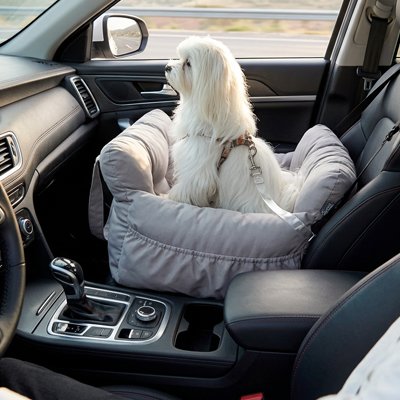 Siege auto pour chien maintiennent l'animal en position sécurisée et évitent les chutes