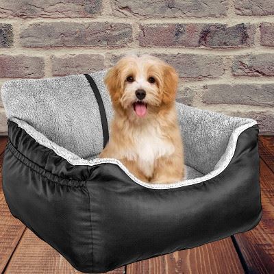 siege auto pour chien pratique et confort