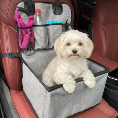 Siege auto pour chien rebords sécurisants parois rigides 