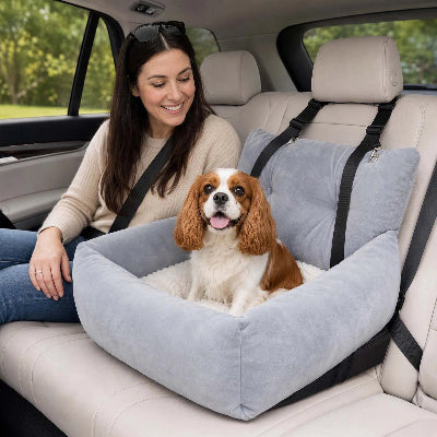 siege chien voiture pour une sécurité maximale