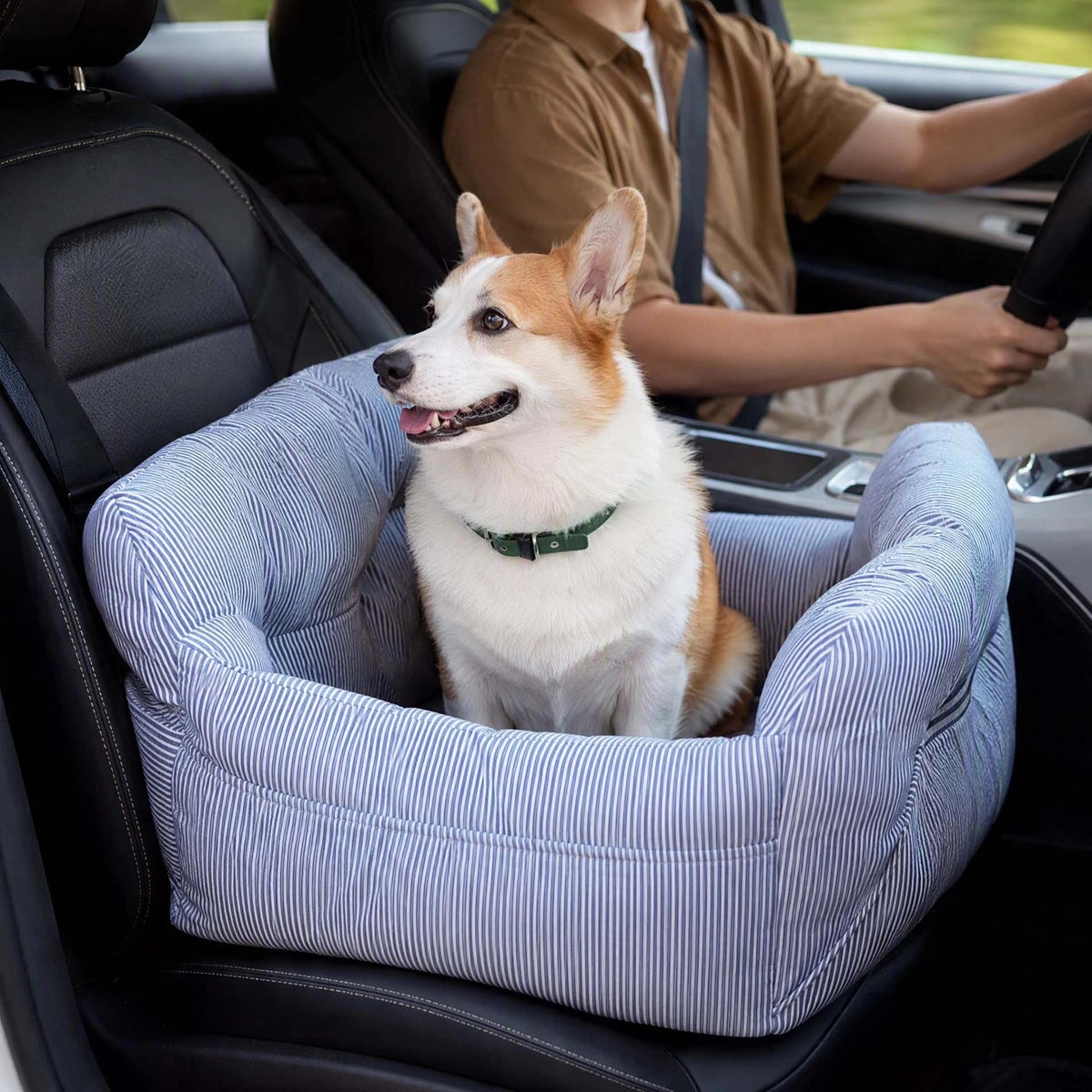 siege chien voiture attaches compatibles 