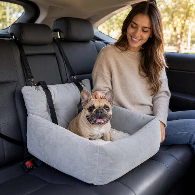 siege chien voiture  joyeux et rempli de pure bonheur